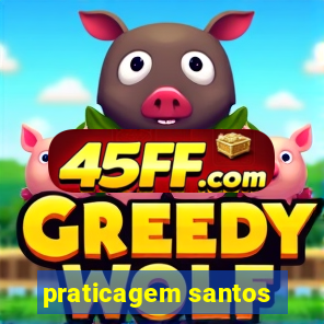 praticagem santos